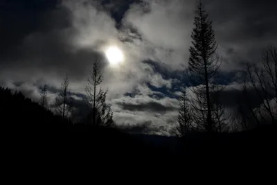 DSC_0877 (Large).JPG